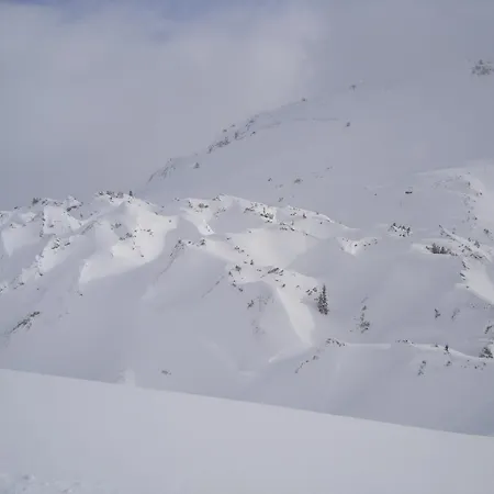 Bergmahder 3*